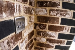 PHOTO-2020-10-25-13-00-39_1